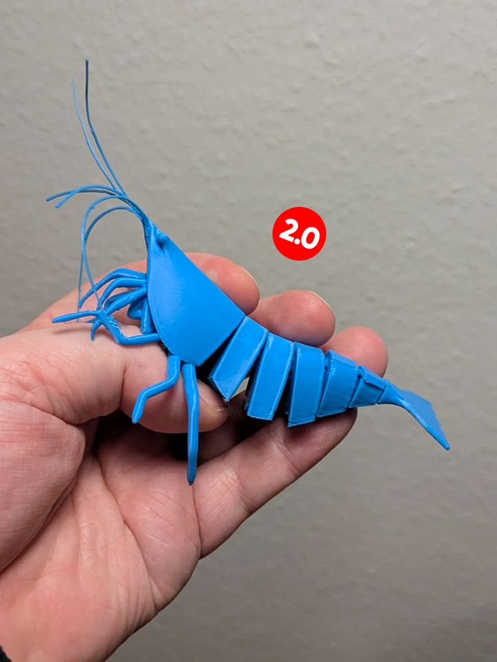 Articulated Shrimp